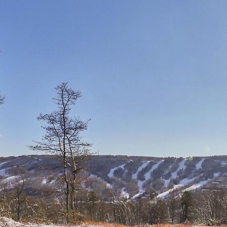 Northridge 199 Vila Tannersville Exterior foto